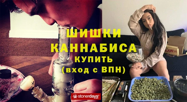 мдпв Пестово