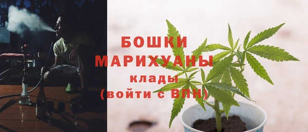 твердый Ветлуга