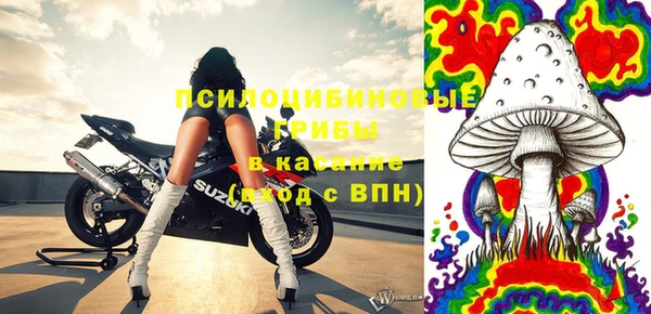 сатива Абинск