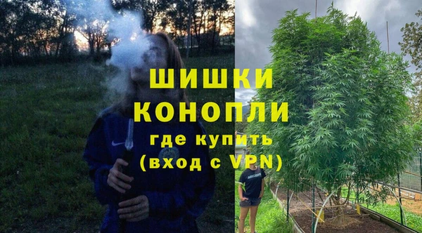 сатива Абинск