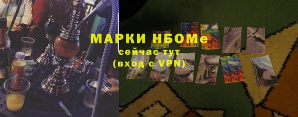 мдпв Пестово